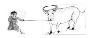 1349547153.jpg