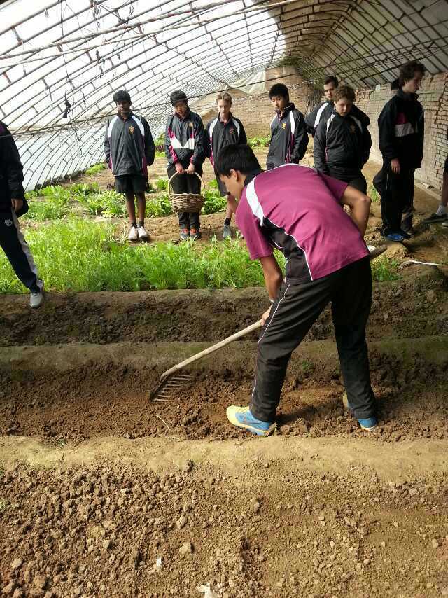 HWУޱУWD
