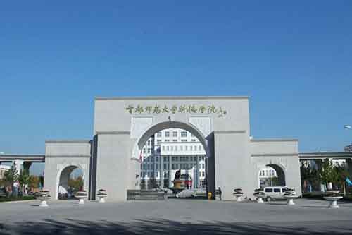 ˇ