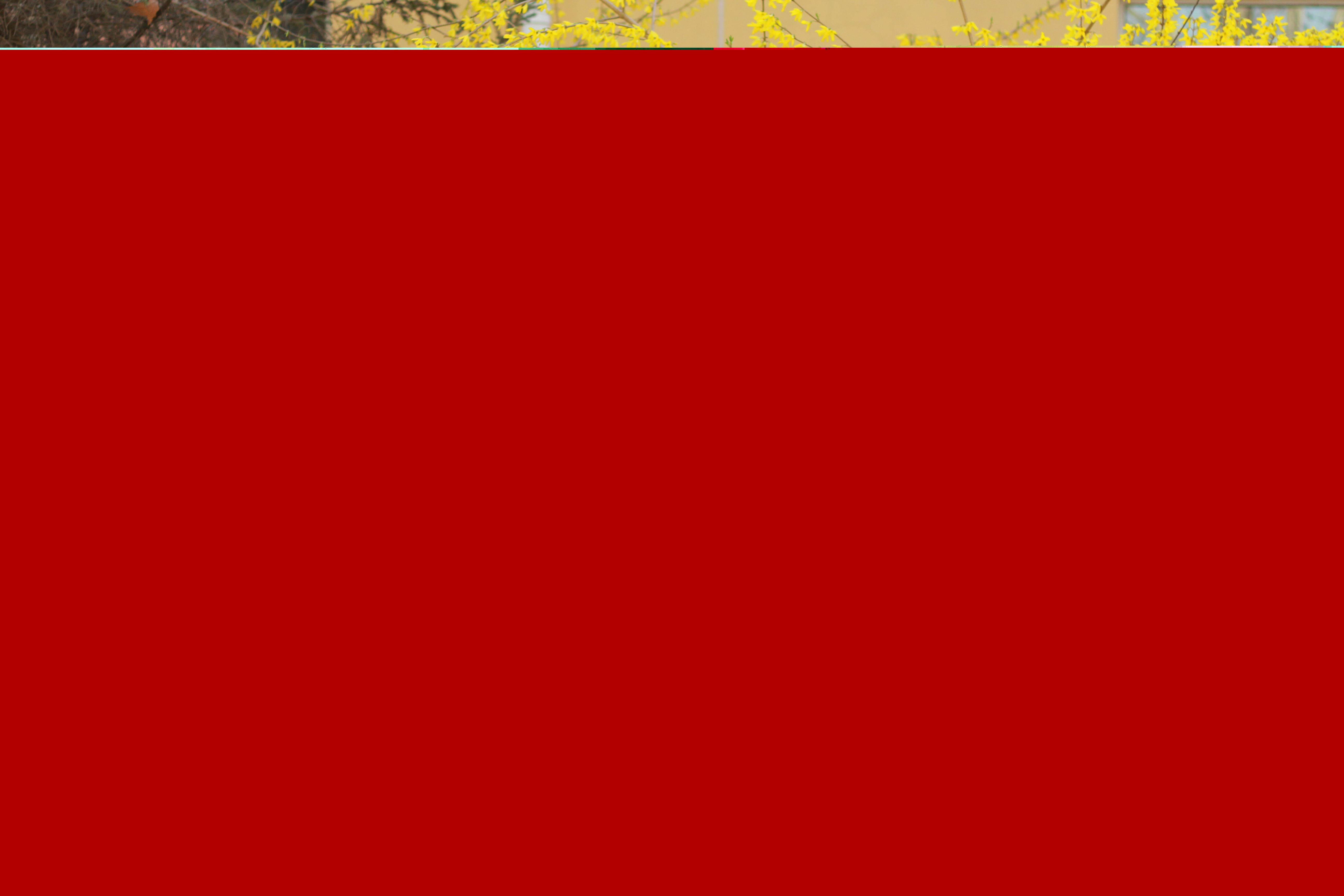 ˽ؐW(xu)У