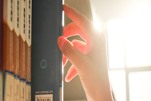 zDW_500280803_wx.jpg