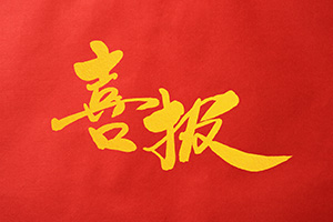 WУȸWʲôӣ