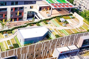 北京樂成國際學校錄取分數線