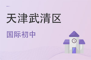 天津武清區(qū)國(guó)際初中