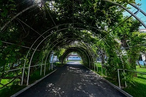 гꖅ^յWУKУ^hôӣ