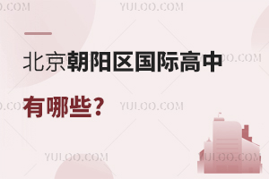 北京朝陽(yáng)區(qū)國(guó)際高中有哪些