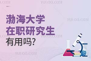 2025渤海大學在職研究生有用嗎?