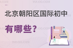 北京朝陽區(qū)國際初中有哪些
