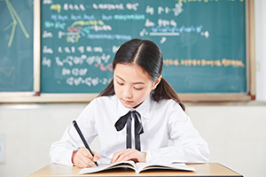 了解學校辦學資質，北京市實驗外國語學校是私立還是公立學校？