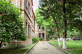職高考大學(xué)