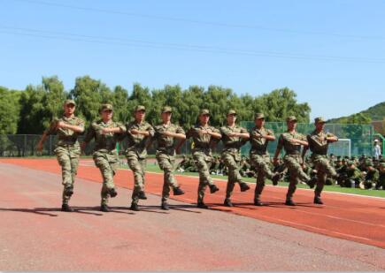 PZWУв܊Ӗ5.jpg