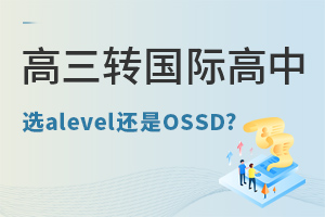 D(zhun)(gu)Hnôxxalevel߀OSSD?