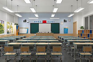 北京市新府學外國語學校(國內班)是公立還是私立性質的學校？