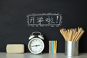 2024年北京市私立匯佳學校小學國內班的招生門檻都有哪些？