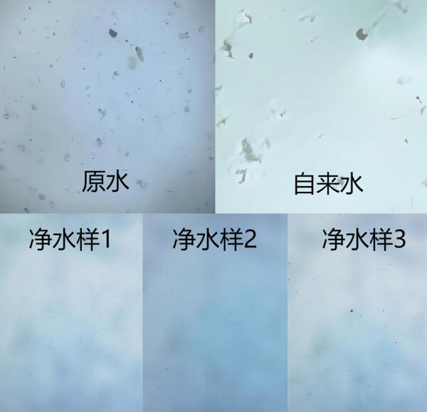 мӌW(xu)УSTEMṇˮĿƌW(xu)֮