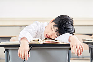 北京東方紅學校小、初、高課程設置一覽！附招生章程