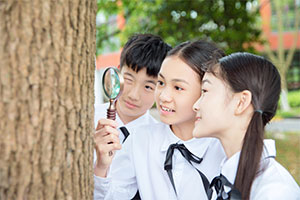 北京市新英才學校(國內班)師資怎么樣？教學水平好不好