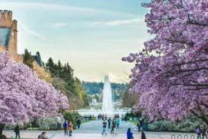 2024-2025年北京新學道臨川學校學費標準一覽！含小初高年級
