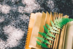 嶺南師范學院各專業每年學費多少錢？附學費一覽表