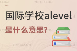 HWУalevelʲô˼