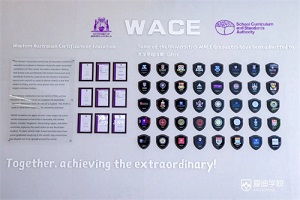 WACE߿ | w͇(gu)HL(zhng)ºףԸ(i)όW(xu)WACE߿Дث@ѿ(j)