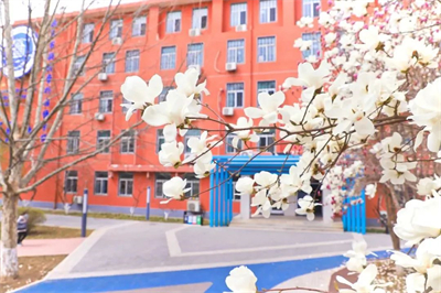 北京新府學(xué)外國(guó)語學(xué)校(國(guó)內(nèi)班)家長(zhǎng)印象如何？大家的評(píng)價(jià)好不好？