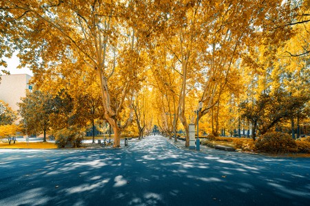 2025СǾWϻI,ⷿWҪ|ṩЩ