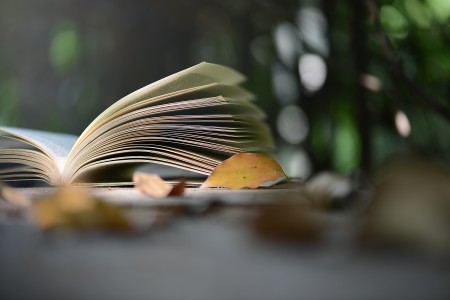 北京市朝陽區(qū)新亞學校3月份開放日預約中，國家督學&特級校長面對面！