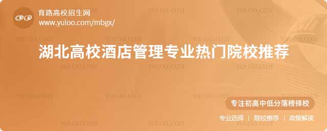 2025УƵ팣ITԺУ]