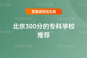 300ֵČƌWУ]2025꿼