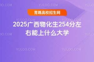 2025Vﻯ254ʲôW(xu)