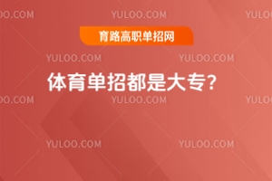 wжǴ󌣣@N`ɵsomeٸлˣ