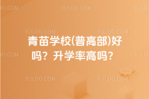 青苗學校(普高部)好嗎？升學率高嗎？