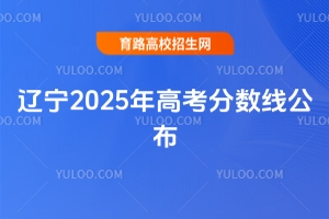 |2025߿֔