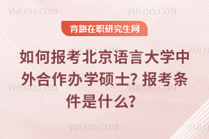 如何報考北京語言大學中外合作辦學碩士？報考條件是什么？