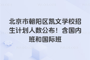 2025年北京市朝陽(yáng)區(qū)凱文學(xué)校招生計(jì)劃人數(shù)公布！含國(guó)內(nèi)班和國(guó)際班