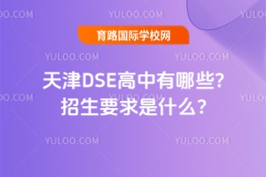 DSEЩ?Ҫʲô?