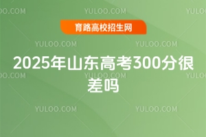 2025ɽ|߿300֣Ĳ᣿W(xu);Ȼ