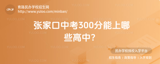 ҿп300Щ