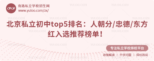 ˽top5
