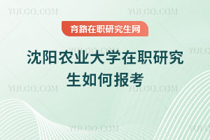 沈陽農(nóng)業(yè)大學(xué)在職研究生如何報考