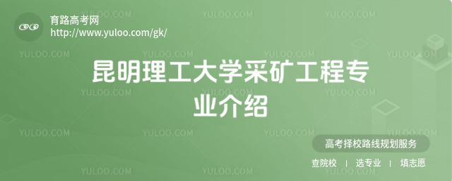 WɵV̌I(y)B