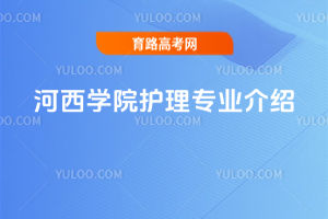 WԺo팣IB
