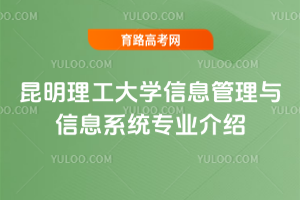 WϢcϢϵyIB