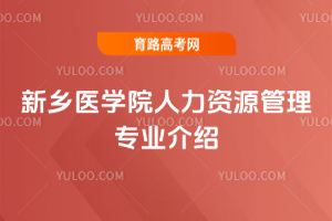 ltWԺYԴ팣IB