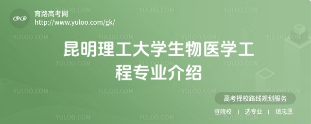 W(xu)t(y)W(xu)̌(zhun)I(y)B