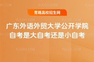 廣東外語外貿大學公開學院自考是大自考還是小自考？