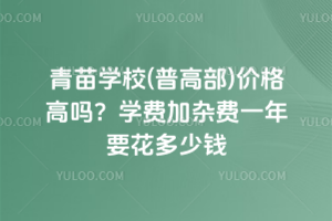青苗學校(普高部)價格高嗎？學費加雜費一年要花多少錢