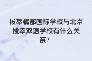 ٿHW(xu)УcpZW(xu)УʲôP(gun)ϵ