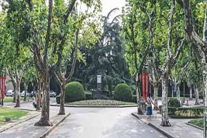 չI(y)(jng)(j)I(y)g(sh)W(xu)Ժ